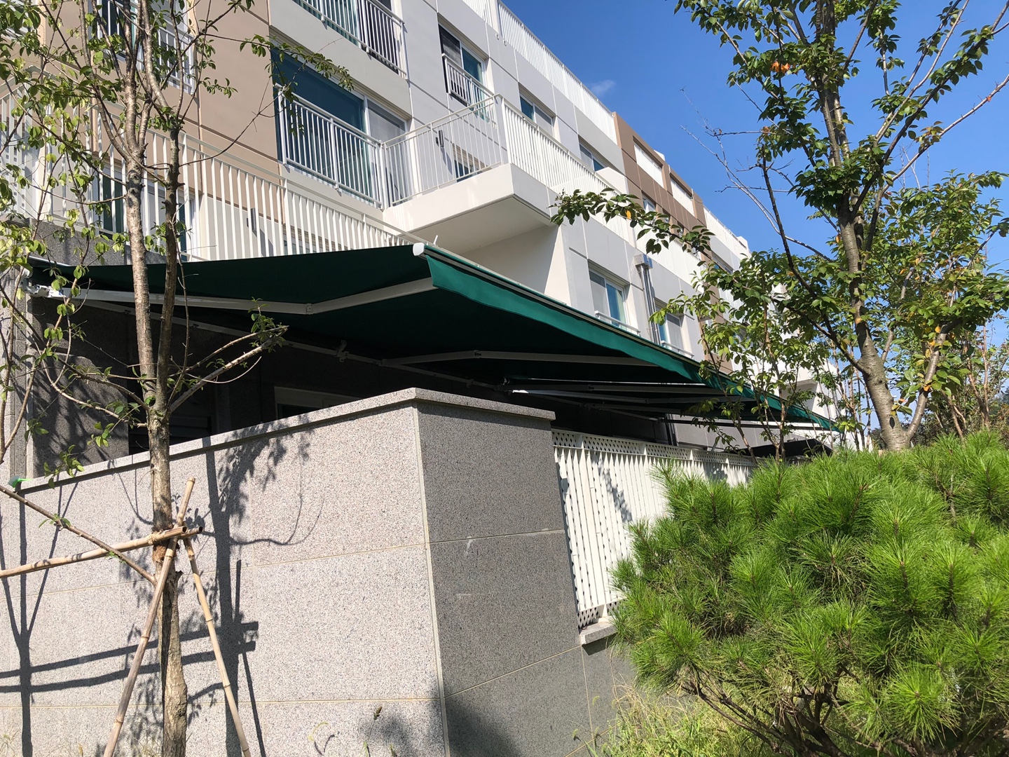 2038599400_GdwQe5Sk_db83a18ab71613ae61515a5a6a7aeaa7f177f981.jpg 이미지크게보기