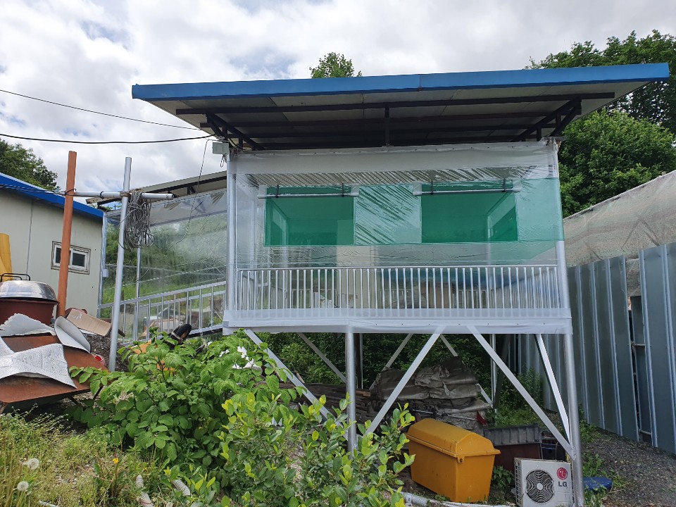 2038599400_QSA8Wadt_f1cd421cbca75ecdcef6743e0e2f39cbfcf95b62.jpg 이미지크게보기